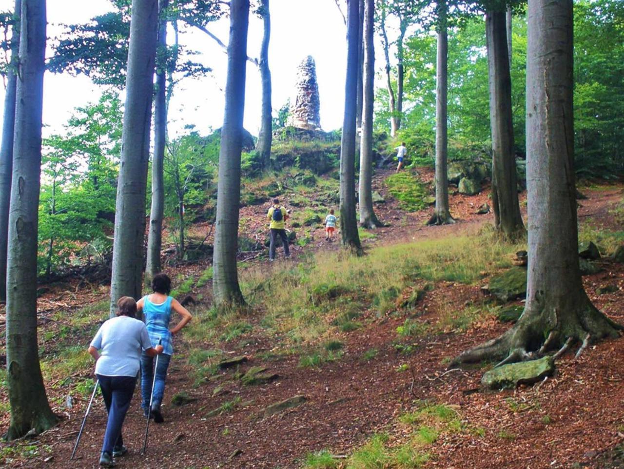 Ferienwohnungen Waldblick Waldmünchen Zewnętrze zdjęcie