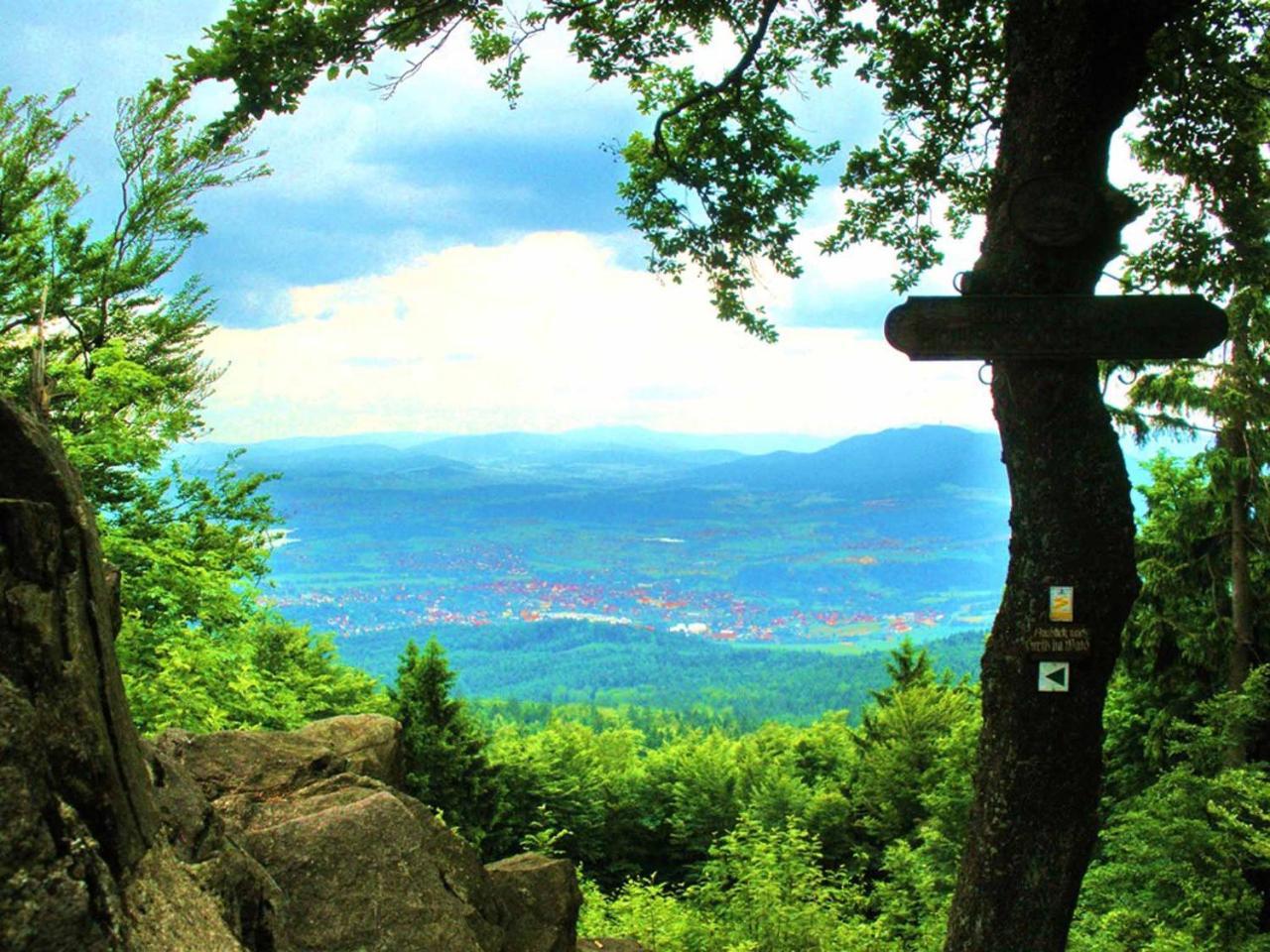 Ferienwohnungen Waldblick Waldmünchen Zewnętrze zdjęcie