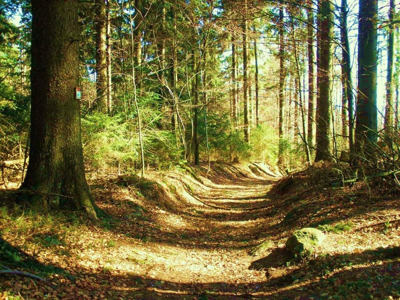 Ferienwohnungen Waldblick Waldmünchen Zewnętrze zdjęcie
